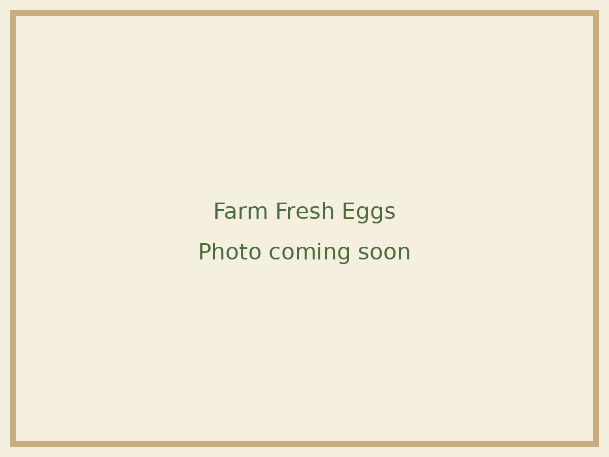 Placeholder image: Farm Fresh Eggs photo coming soon