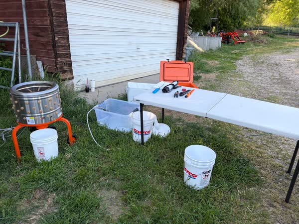 Outdoor processing setup with plucker, scalder, and table