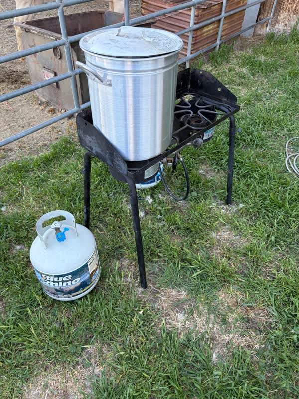 Scalding pot on a propane burner